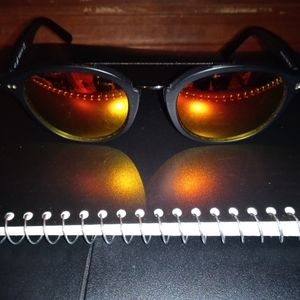 Web 424 Sunglasses Unisex